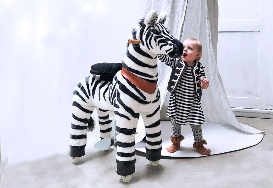 ponycycle zebra