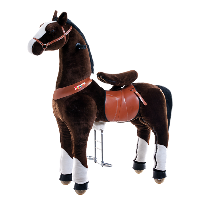 pony cycle adults