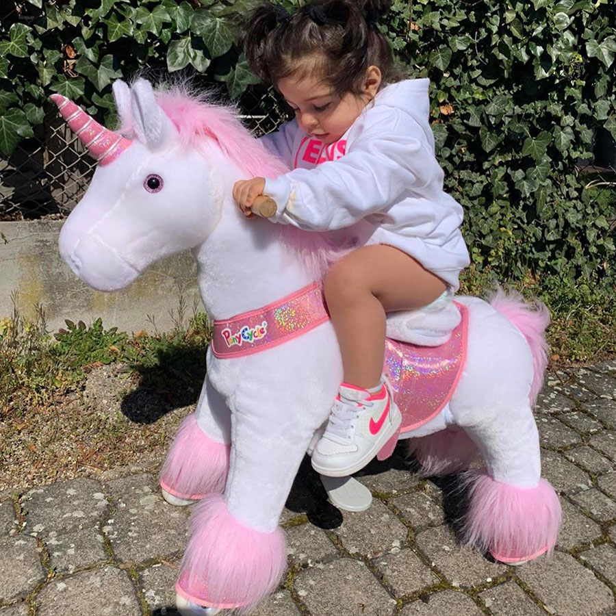 ponycycle unicorn