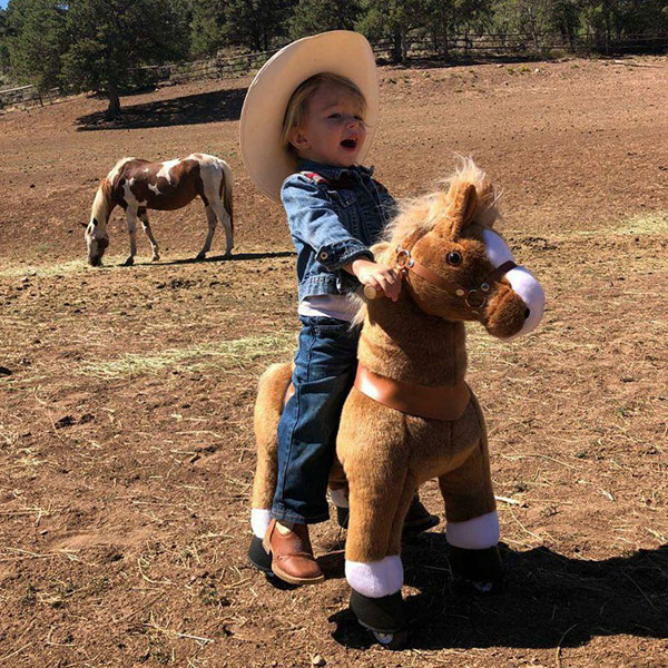 Pony Cycle rides like a real pony