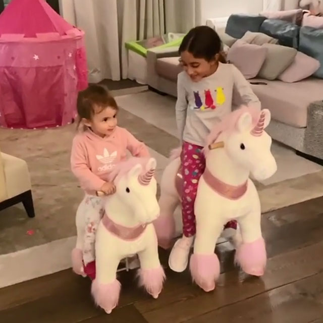 The rideable unicorn